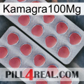 Kamagra100Mg 19